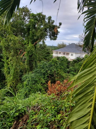Sixth image of Lot 17 Rose Hill, Cardiff Hall, in Runaway Bay, St. Ann, Jamaica - property is For Sale