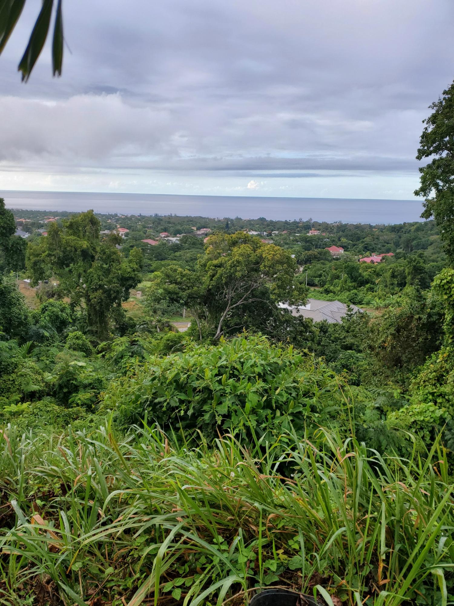 Seventh image of Lot 17 Rose Hill, Cardiff Hall, in Runaway Bay, St. Ann, Jamaica - property is For Sale