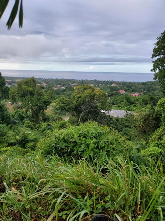 Seventh image of Lot 17 Rose Hill, Cardiff Hall, in Runaway Bay, St. Ann, Jamaica - property is For Sale