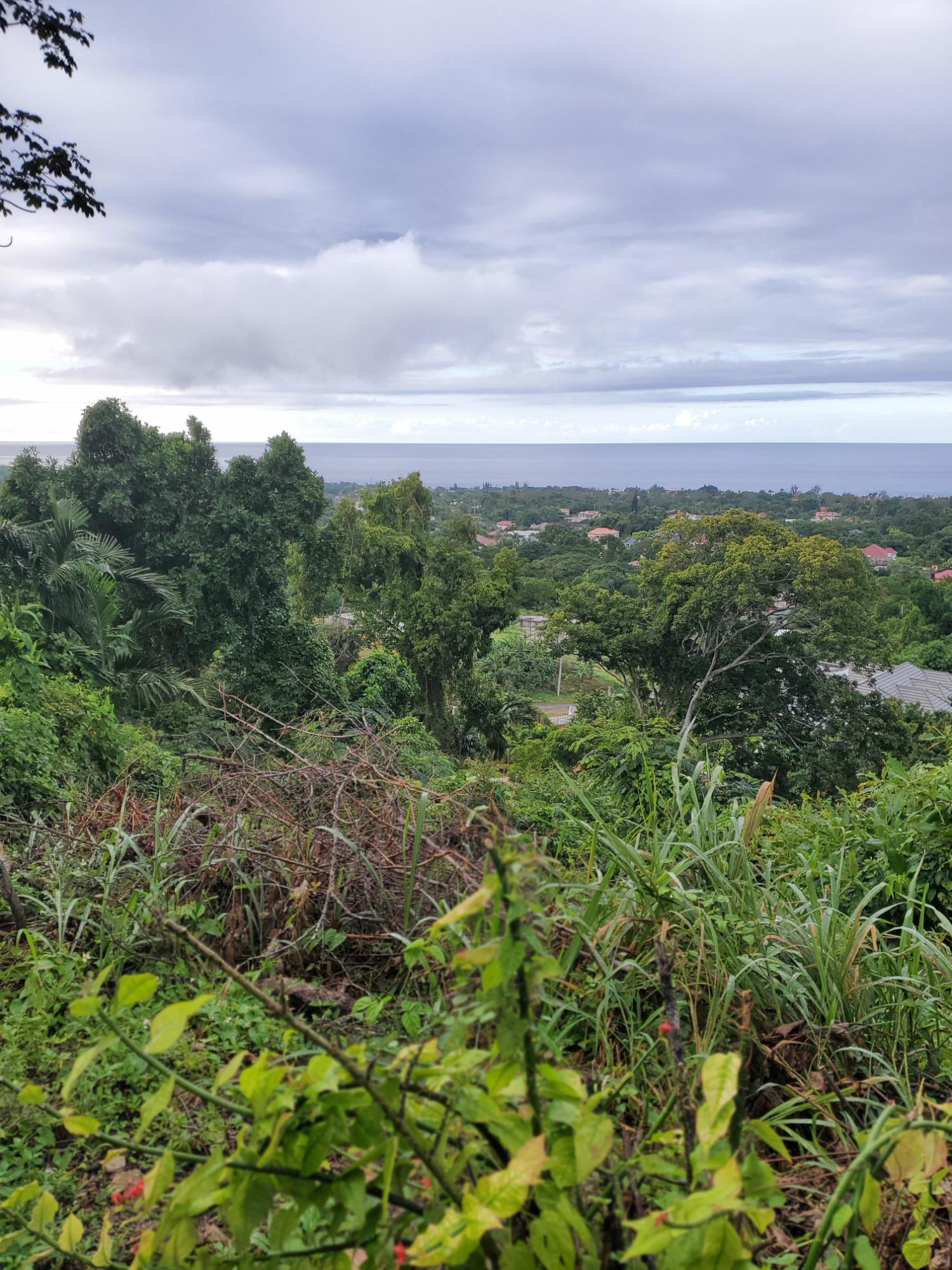 Eighth image of Lot 17 Rose Hill, Cardiff Hall, in Runaway Bay, St. Ann, Jamaica - property is For Sale