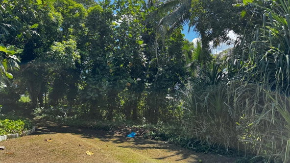 Tenth image of Lot 1- Cambria, Linstead in Linstead, St. Catherine, Jamaica - property is For Sale