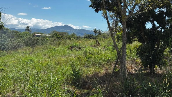 Eleventh image of Lot 1- Cambria, Linstead in Linstead, St. Catherine, Jamaica - property is For Sale