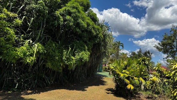 Twelfth image of Lot 1- Cambria, Linstead in Linstead, St. Catherine, Jamaica - property is For Sale