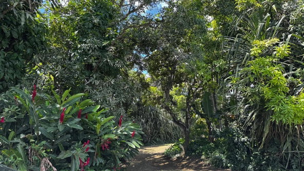 Thirteenth image of Lot 1- Cambria, Linstead in Linstead, St. Catherine, Jamaica - property is For Sale