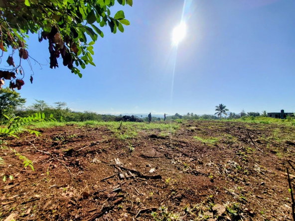Third image of Lot 1- Cambria, Linstead in Linstead, St. Catherine, Jamaica - property is For Sale