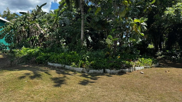 Ninth image of Lot 1- Cambria, Linstead in Linstead, St. Catherine, Jamaica - property is For Sale