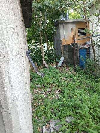 Fourth image of Lot 42-george Pen Four Paths, Clarendon in Four Paths, Clarendon, Jamaica - property is For Sale