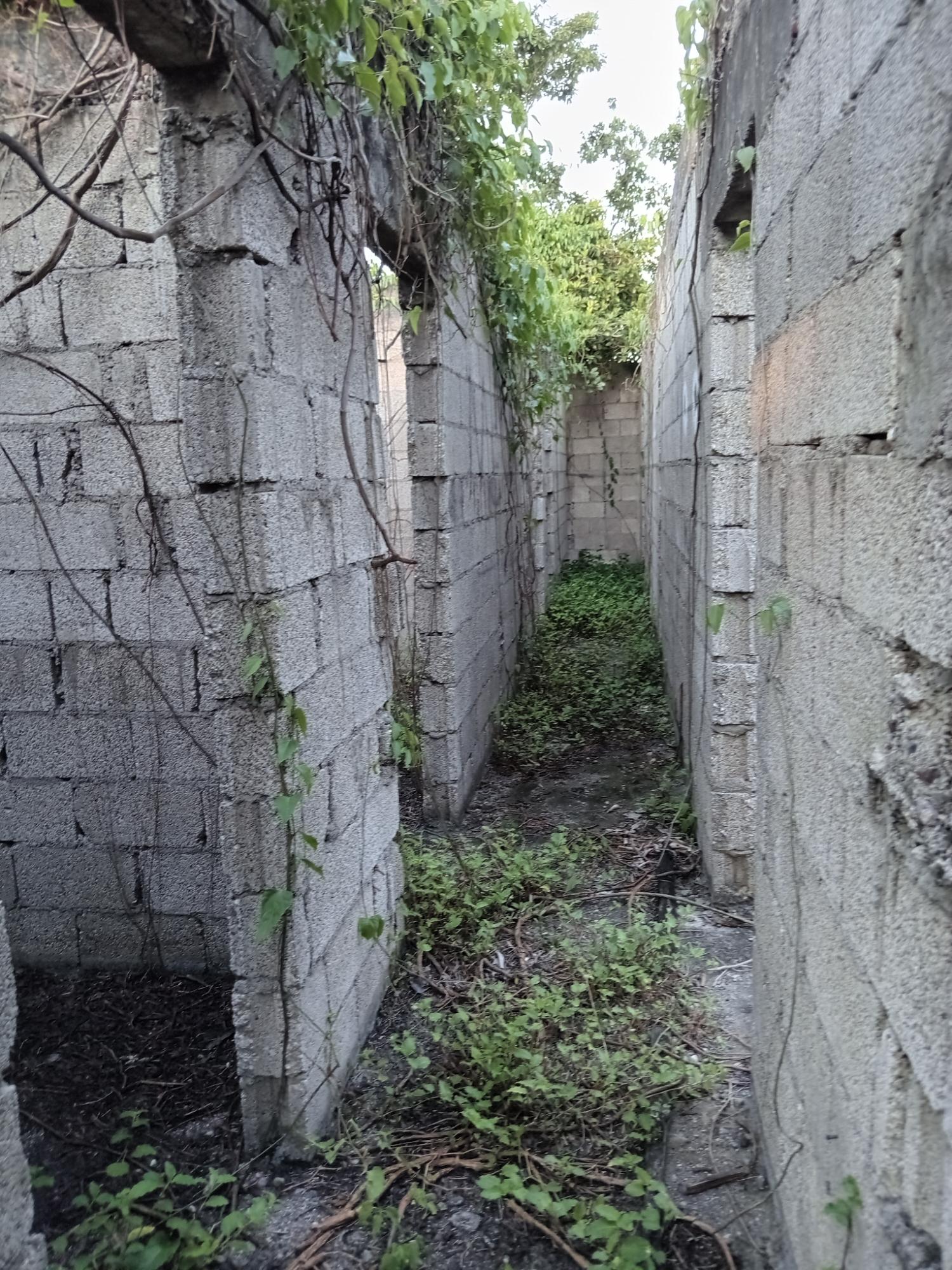 Fifth image of Lot 42-george Pen Four Paths, Clarendon in Four Paths, Clarendon, Jamaica - property is For Sale