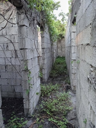 Fifth image of Lot 42-george Pen Four Paths, Clarendon in Four Paths, Clarendon, Jamaica - property is For Sale