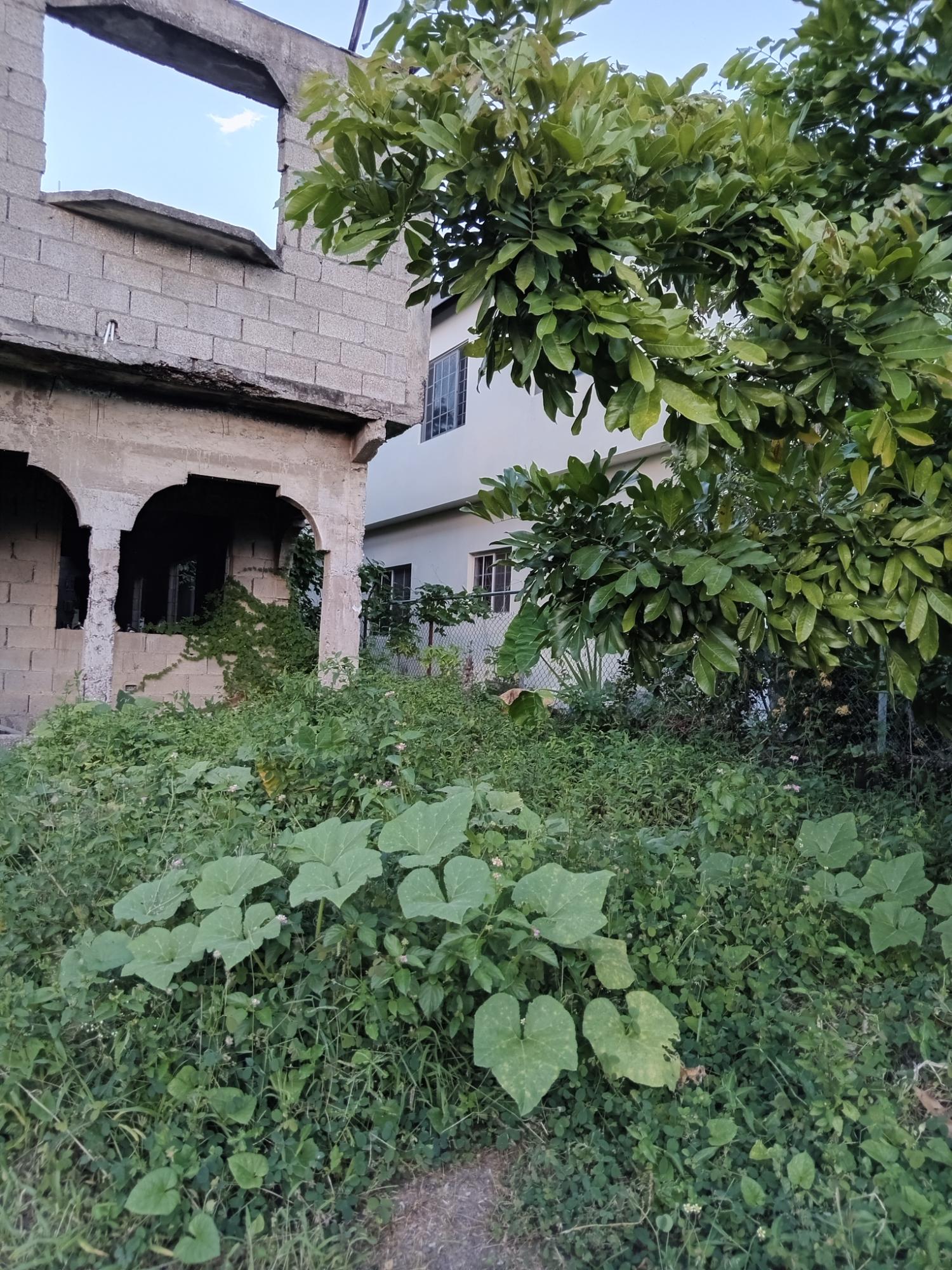 Eighth image of Lot 42-george Pen Four Paths, Clarendon in Four Paths, Clarendon, Jamaica - property is For Sale