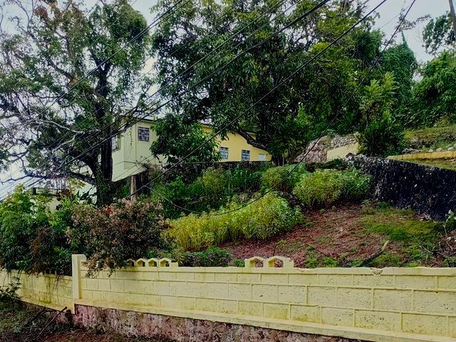 Second image of Minard Hill in Browns Town, St. Ann, Jamaica - property is For Sale