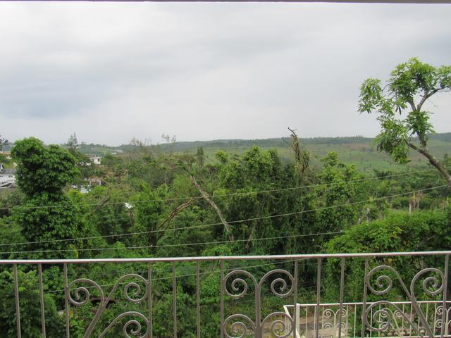 Fourth image of Minard Hill in Browns Town, St. Ann, Jamaica - property is For Sale
