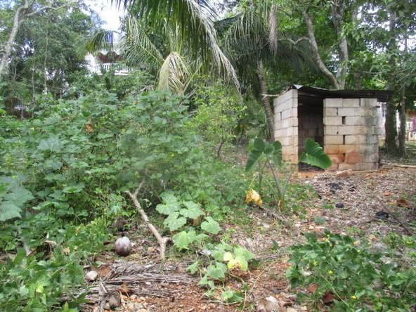 Twentieth image of Redberry, Porus in Porus, Manchester, Jamaica - property is For Sale