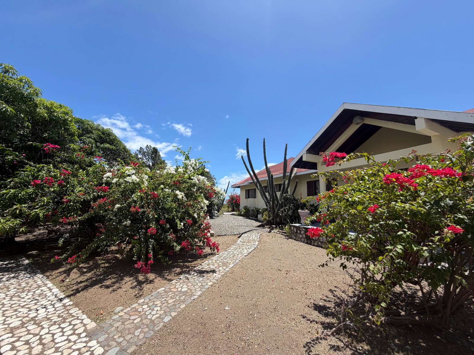 Fifth image of Pondside in Yallahs, St. Thomas, Jamaica - property is For Sale