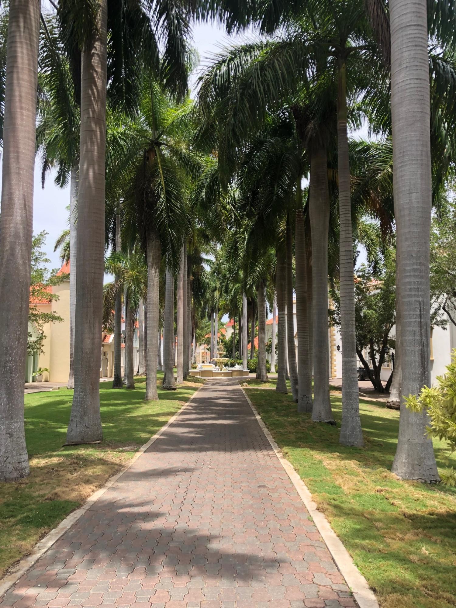 Ninth image of 6b- Half Moon Village, Rose h in Montego Bay, St. James, Jamaica - property is For Rent