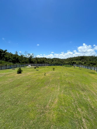 Sixteenth image of 24 Aldelhpi, Content in Adelphi, St. James, Jamaica - property is For Sale