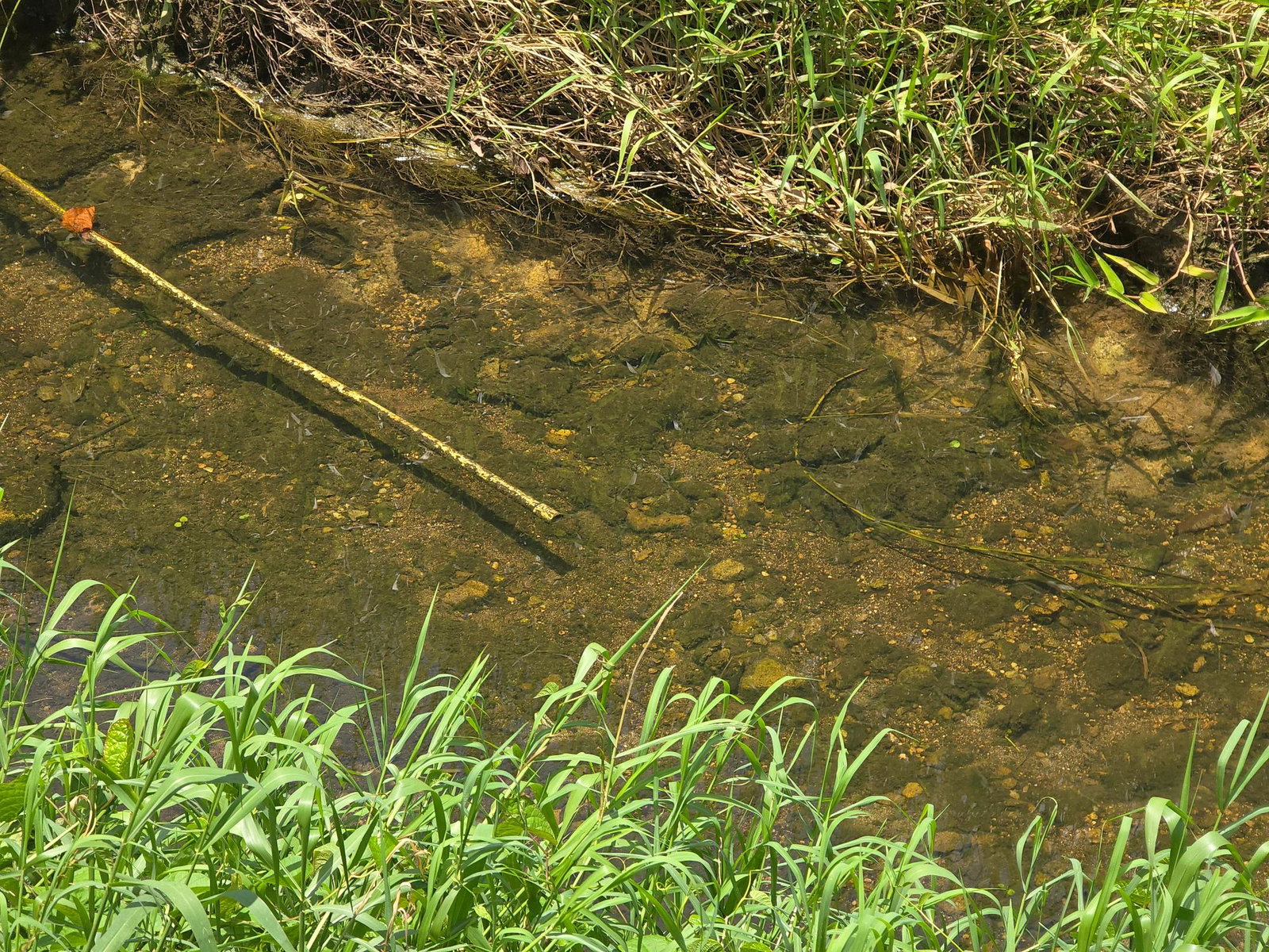 Third image of 12 Three Miles River, Sav in Savanna-La-Mar, Westmoreland, Jamaica - property is For Sale