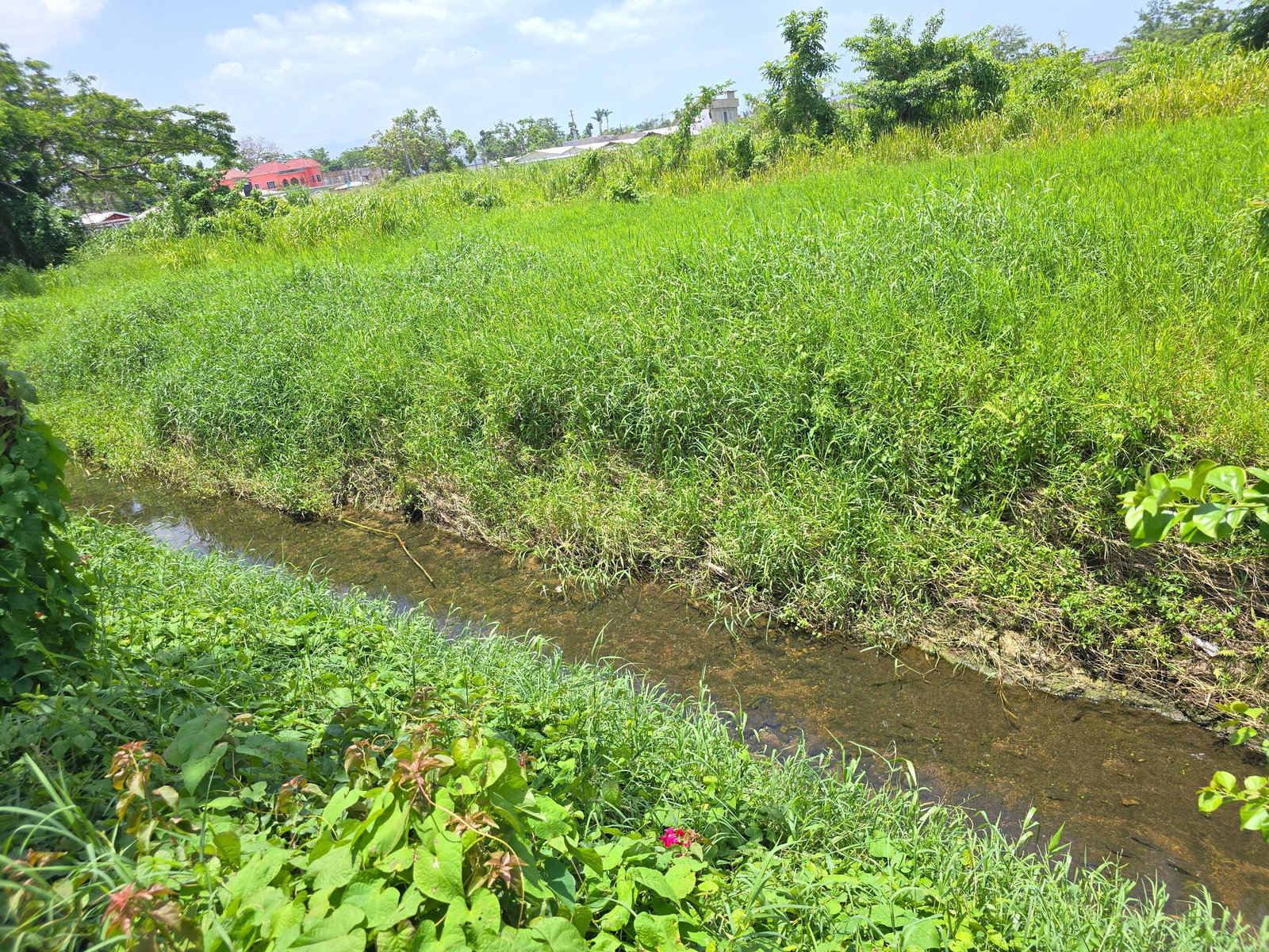 Fourth image of 12 Three Miles River, Sav in Savanna-La-Mar, Westmoreland, Jamaica - property is For Sale
