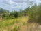 First image of 179 Bybrook Park in Santa Cruz, St. Elizabeth, Jamaica - property is For Sale