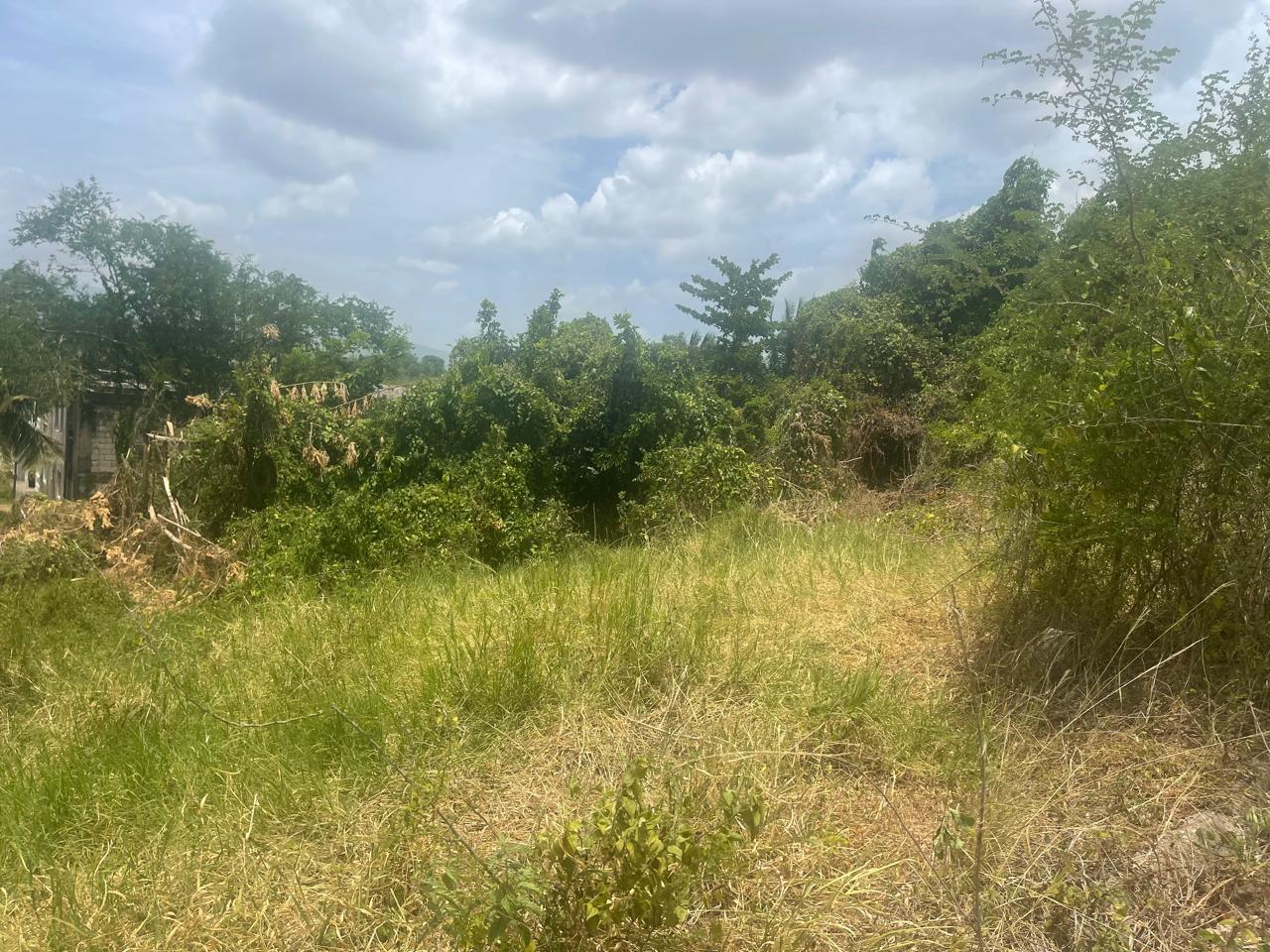 Fourth image of 179 Bybrook Park in Santa Cruz, St. Elizabeth, Jamaica - property is For Sale