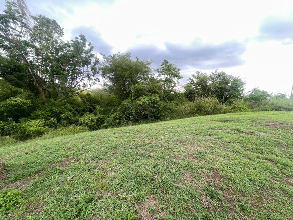First image of 8 Negril Estates (jamaica a in Negril, Westmoreland, Jamaica - property is For Sale