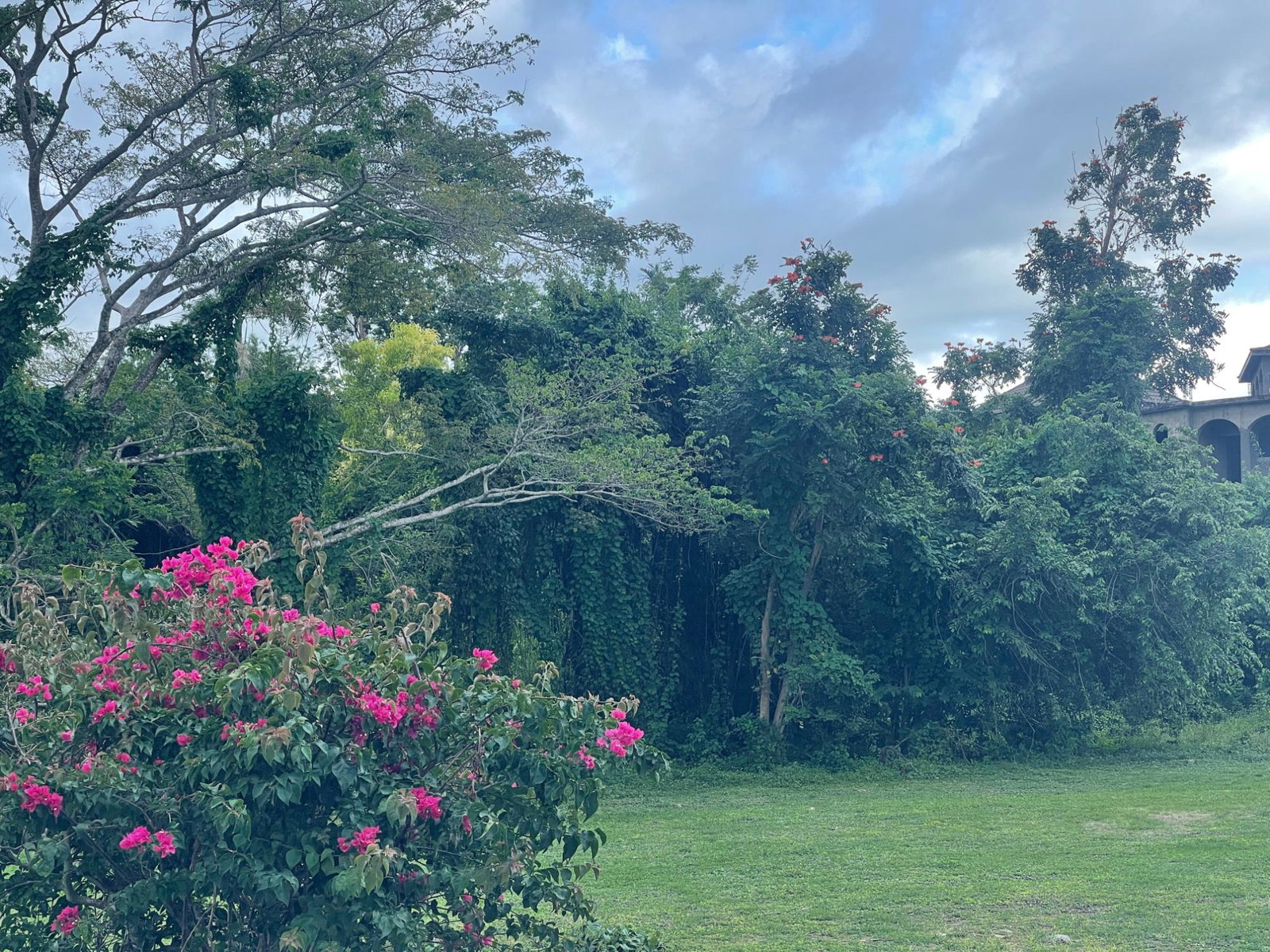 Tenth image of 8 Negril Estates (jamaica a in Negril, Westmoreland, Jamaica - property is For Sale