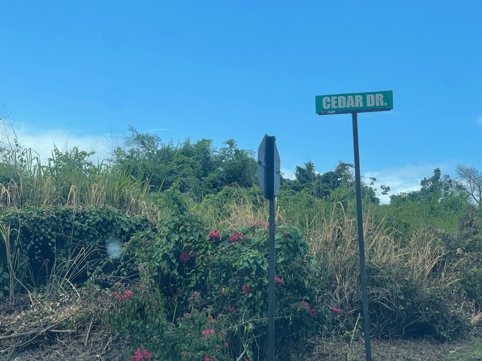 Twenty-Third image of 8 Negril Estates (jamaica a in Negril, Westmoreland, Jamaica - property is For Sale