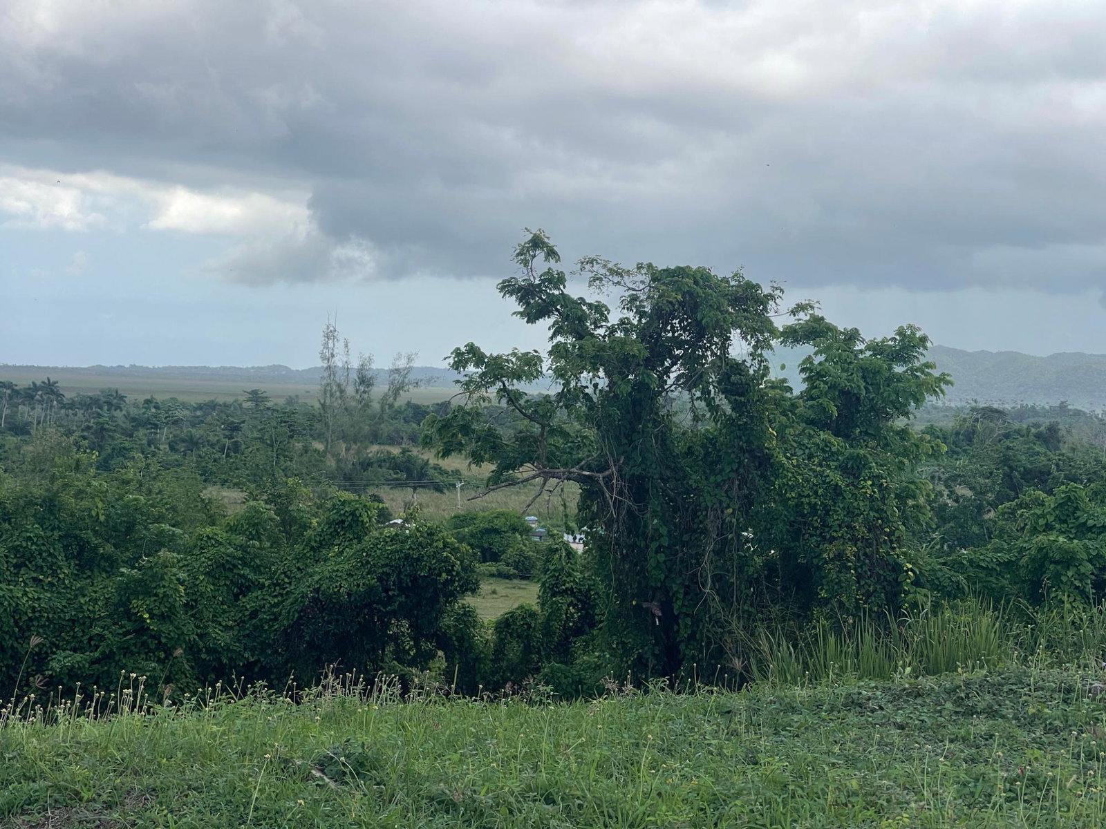 Eighth image of 8 Negril Estates (jamaica a in Negril, Westmoreland, Jamaica - property is For Sale