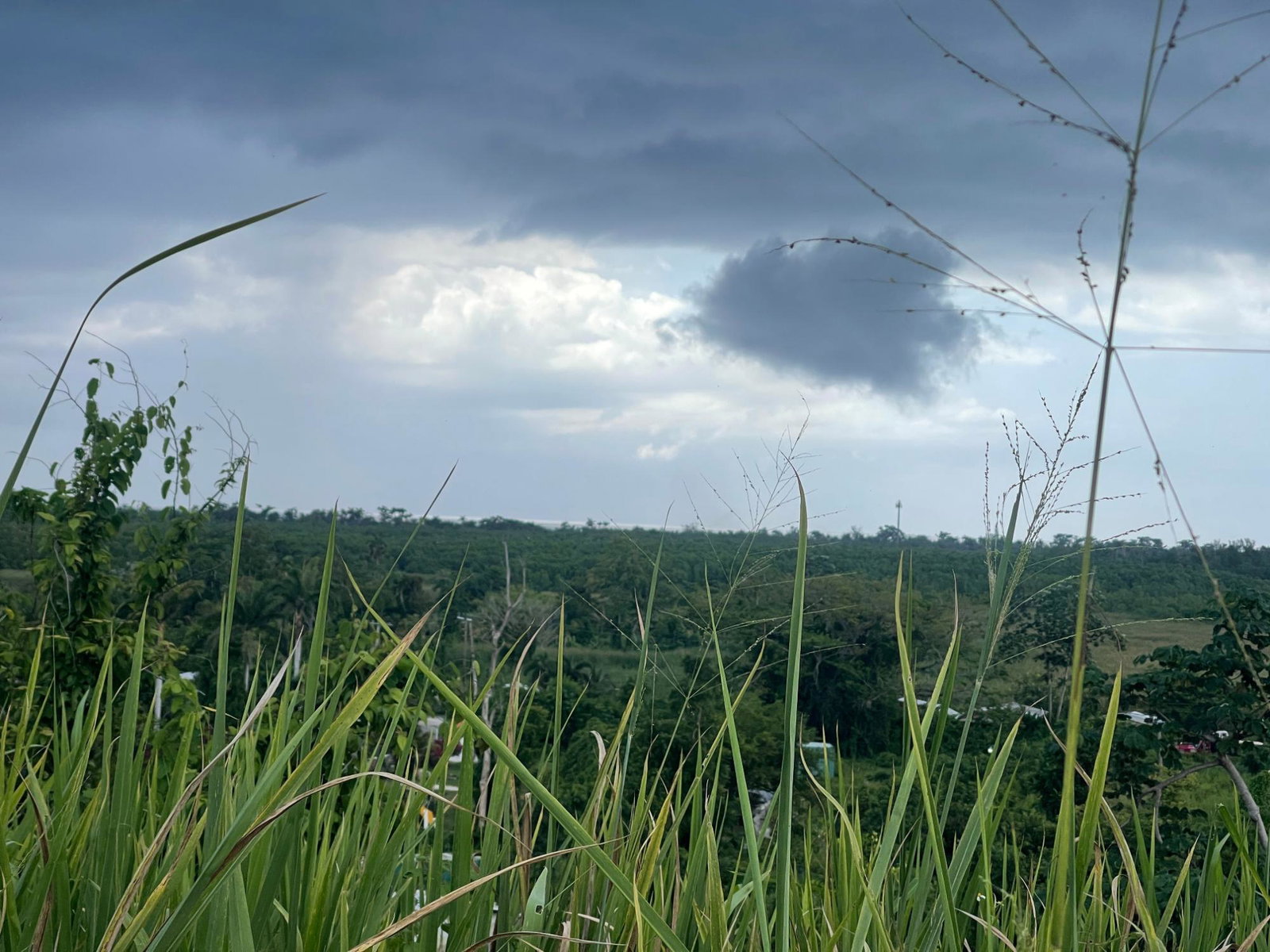 Ninth image of 8 Negril Estates (jamaica a in Negril, Westmoreland, Jamaica - property is For Sale