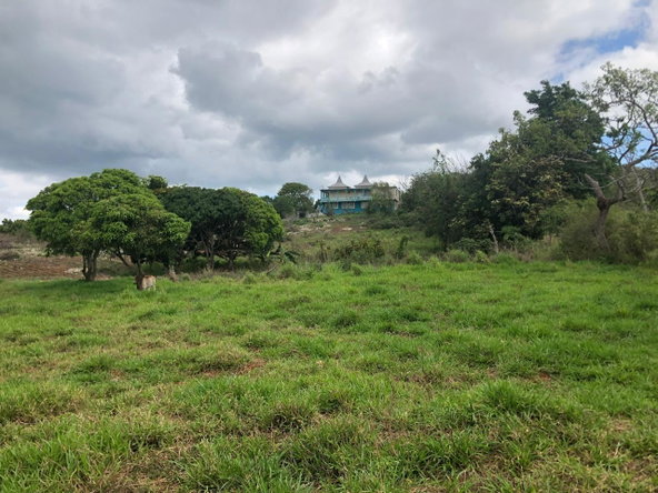 First image of Lot 4- Retirement, Malvern , St. in Malvern, St. Elizabeth, Jamaica - property is For Sale