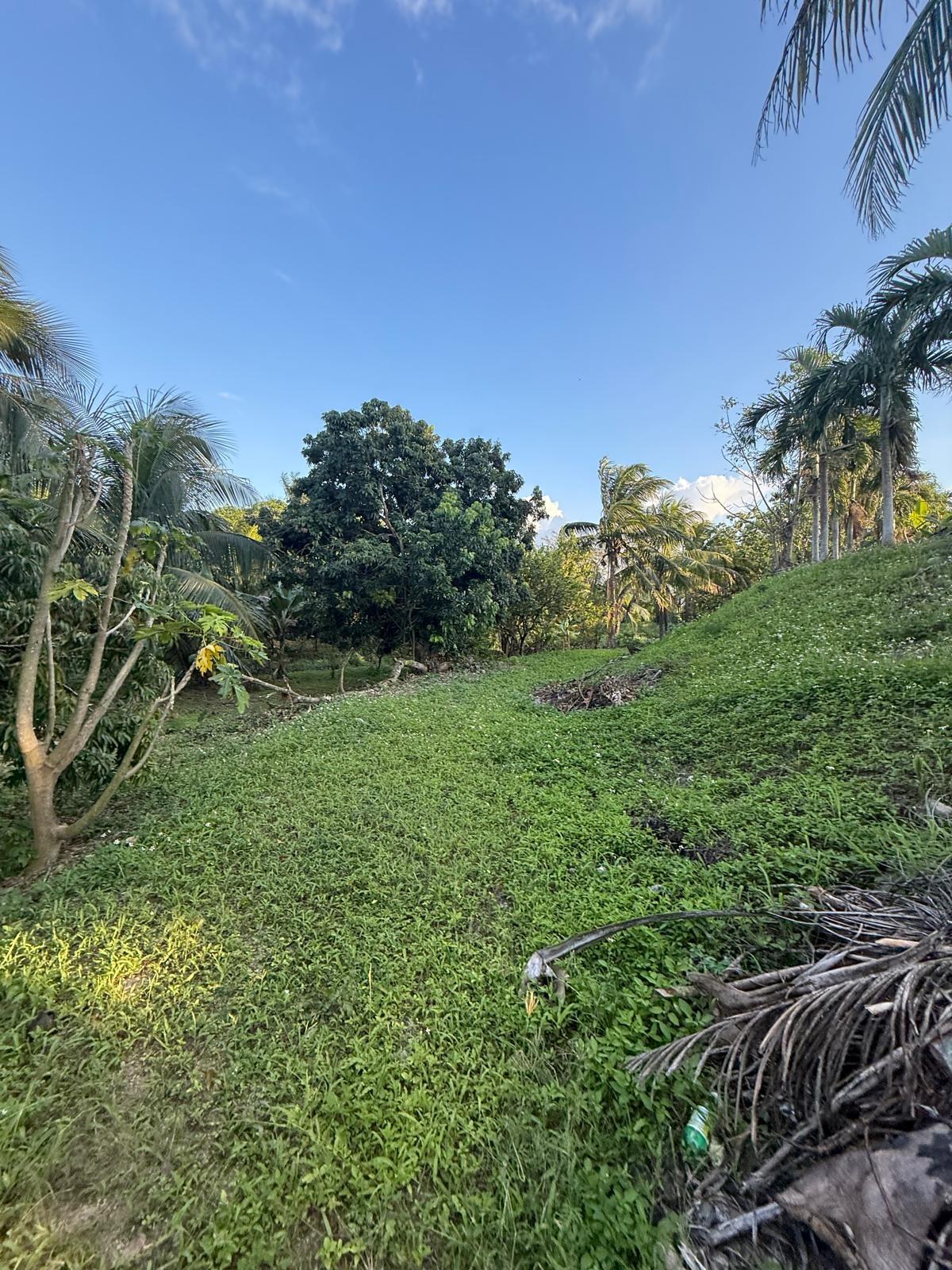 Twenty-Eighth image of 3 Hyde Park St. Catherine in Bog Walk, St. Catherine, Jamaica - property is For Sale