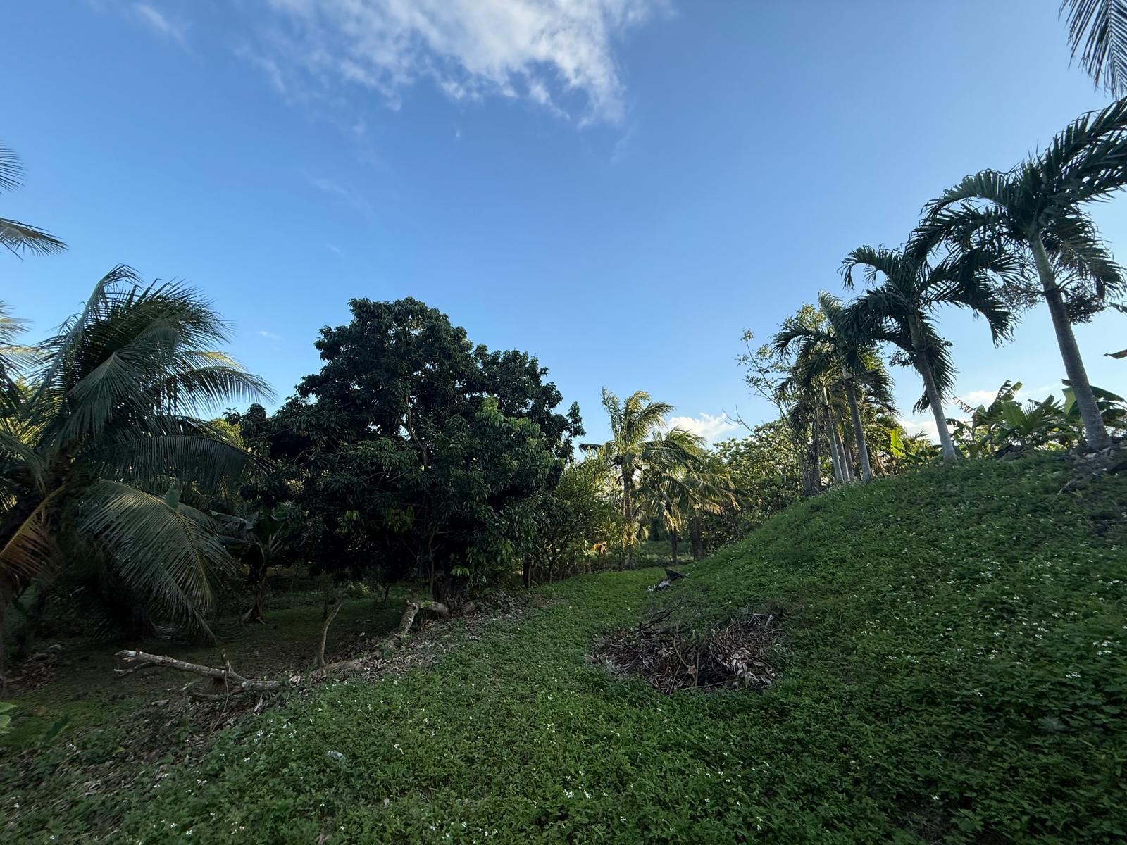 Twenty-Ninth image of 3 Hyde Park St. Catherine in Bog Walk, St. Catherine, Jamaica - property is For Sale