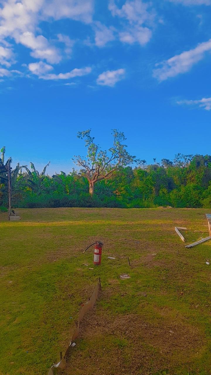 Eleventh image of Lot-796 Florence Hall Phase 7 Cor in Falmouth, Trelawny, Jamaica - property is For Sale