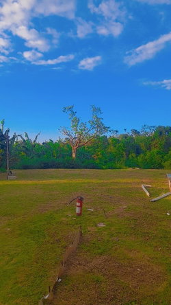 Eleventh image of Lot-796 Florence Hall Phase 7 Cor in Falmouth, Trelawny, Jamaica - property is For Sale