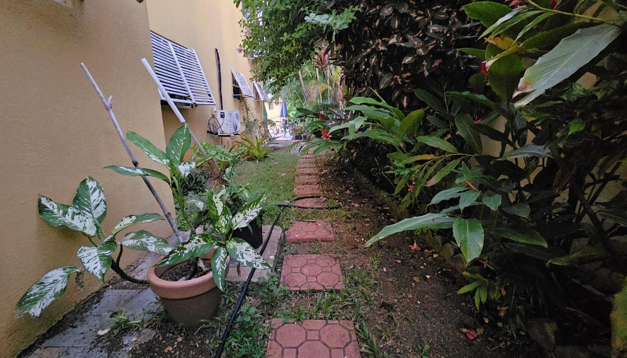 Twenty-Second image of Lily-87 Tower Isle Caribbean Ave in Tower Isle, St. Mary, Jamaica - property is For Rent