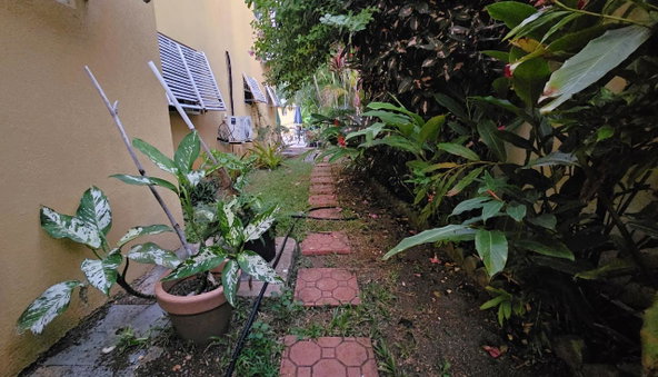 Twenty-Second image of Lily-87 Tower Isle Caribbean Ave in Tower Isle, St. Mary, Jamaica - property is For Rent