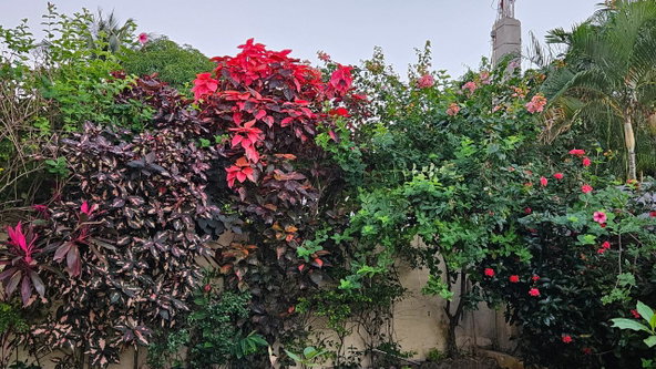 Twenty-Third image of Lily-87 Tower Isle Caribbean Ave in Tower Isle, St. Mary, Jamaica - property is For Rent