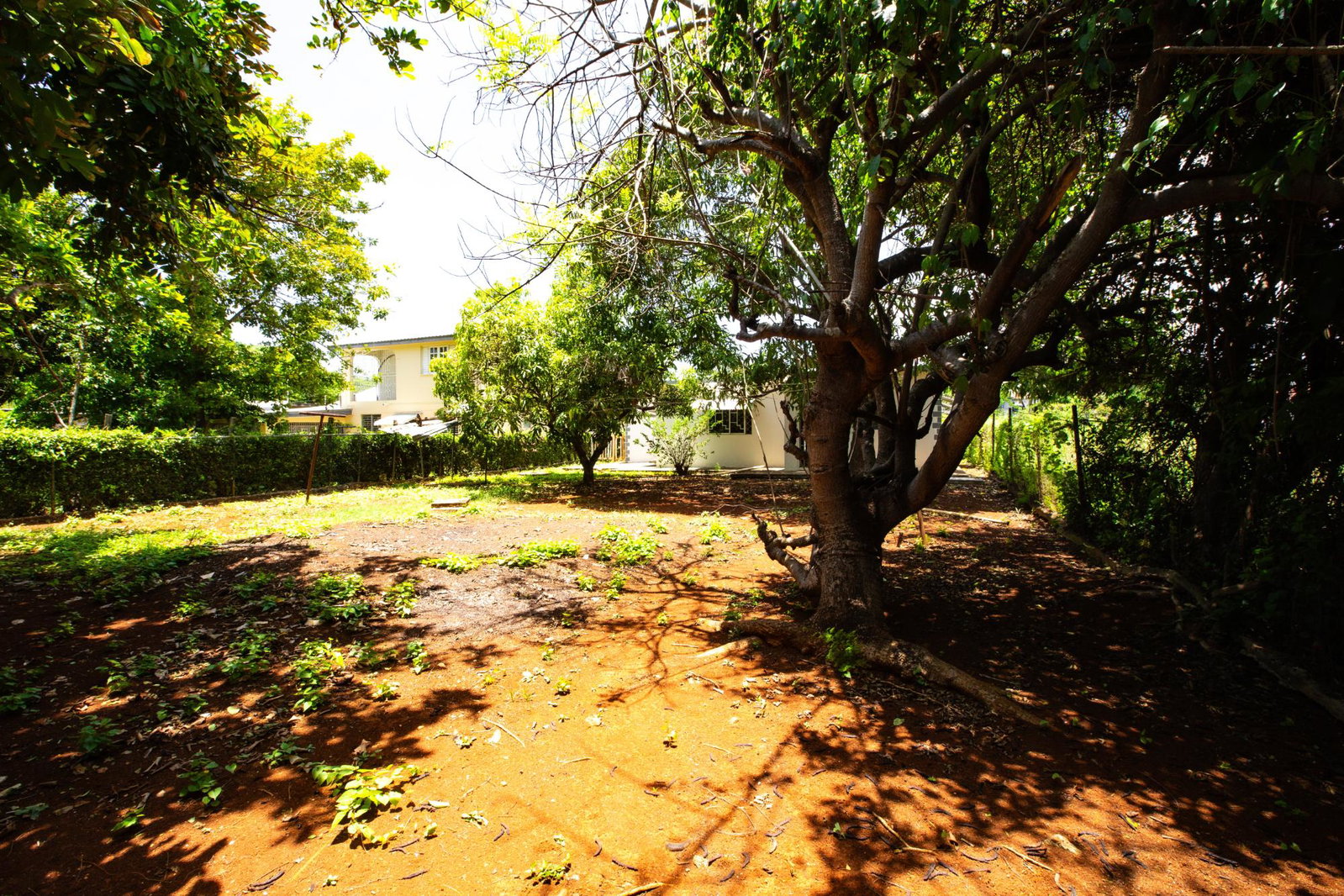 Twenty-Third image of 19 Johnson Crescent, Tryall in Spanish Town, St. Catherine, Jamaica - property is For Rent