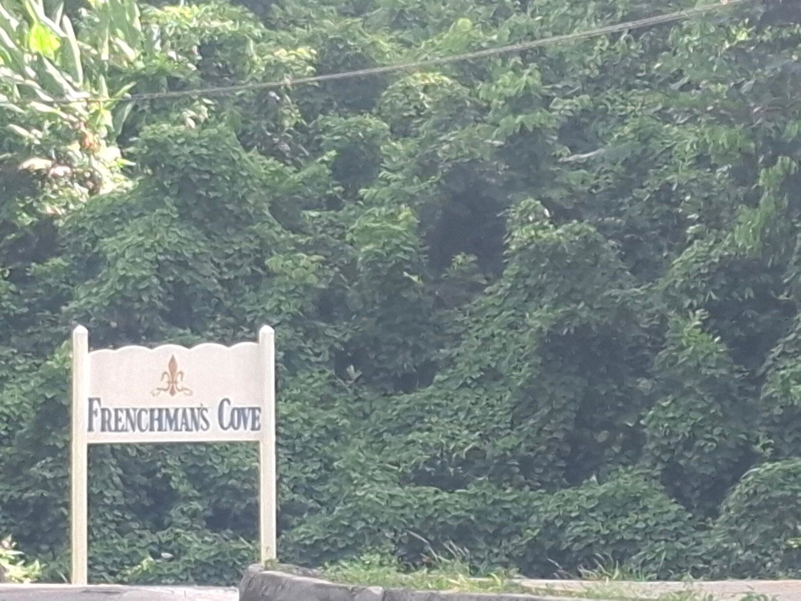 Twenty-First image of Fairy Hill , Portland Jam in Fairy Hill, Portland, Jamaica - property is For Sale