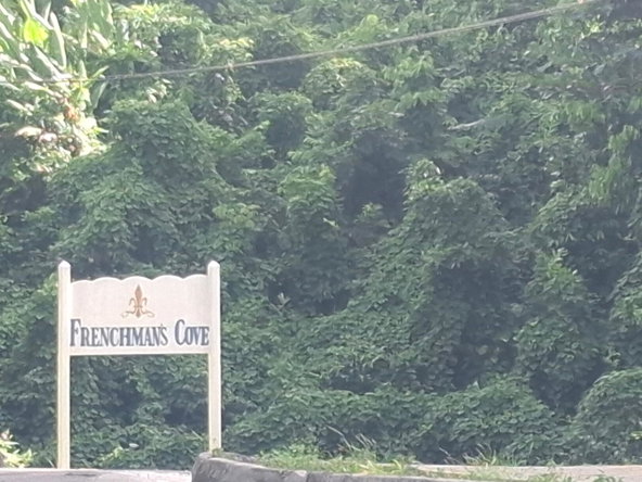 Twenty-First image of Fairy Hill , Portland Jam in Fairy Hill, Portland, Jamaica - property is For Sale