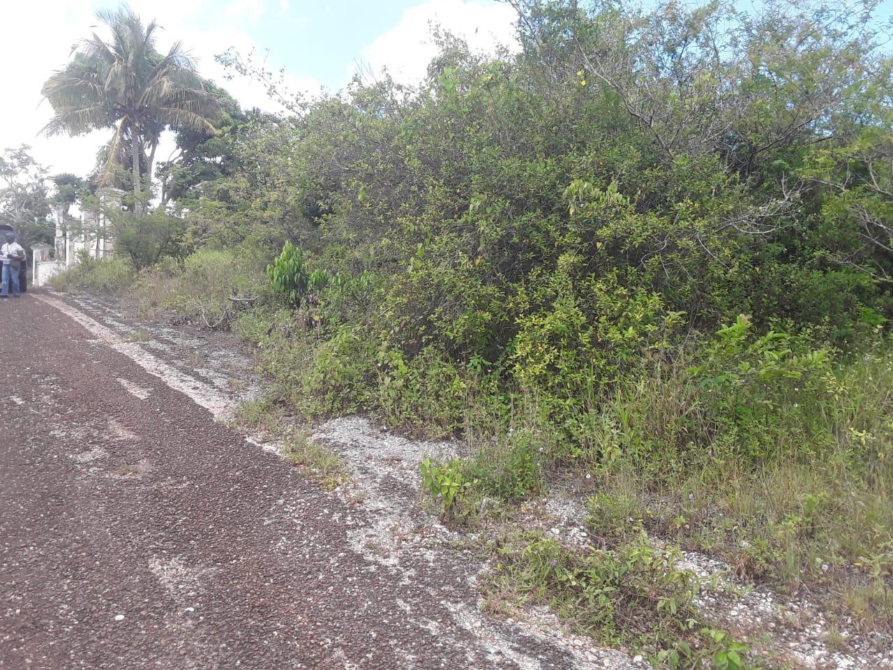 First image of Royal Flat , Inverness m in Knockpatirck, Manchester, Jamaica - property is For Sale