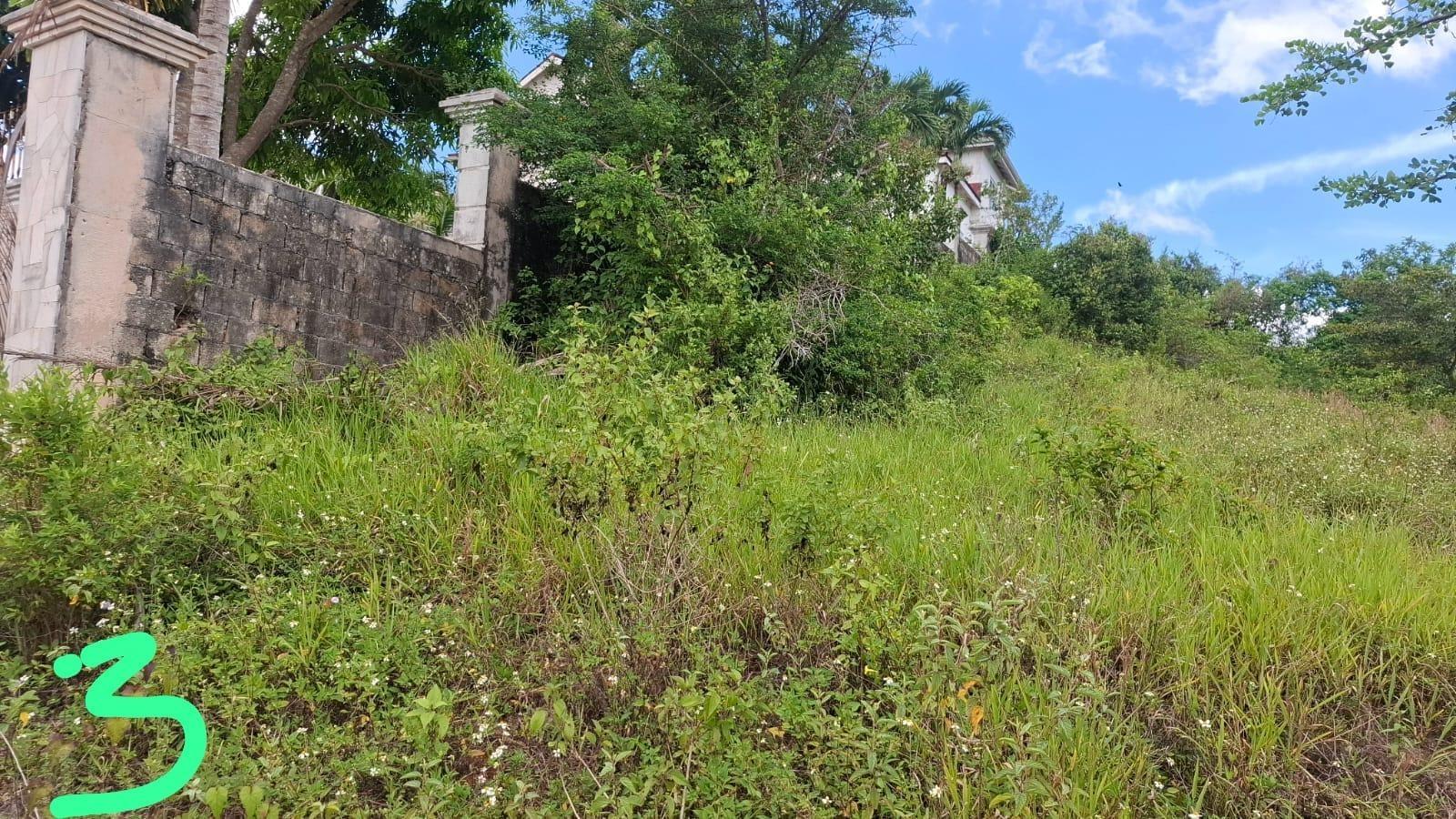 Second image of Royal Flat , Inverness m in Knockpatirck, Manchester, Jamaica - property is For Sale