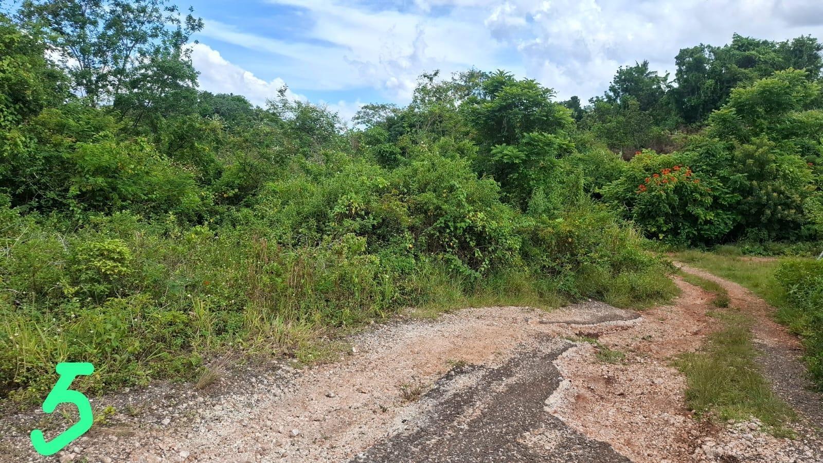 Third image of Royal Flat , Inverness m in Knockpatirck, Manchester, Jamaica - property is For Sale