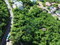 First image of 7 West Armour Heights in Constant Spring P.O., St. Andrew, Jamaica - property is For Sale