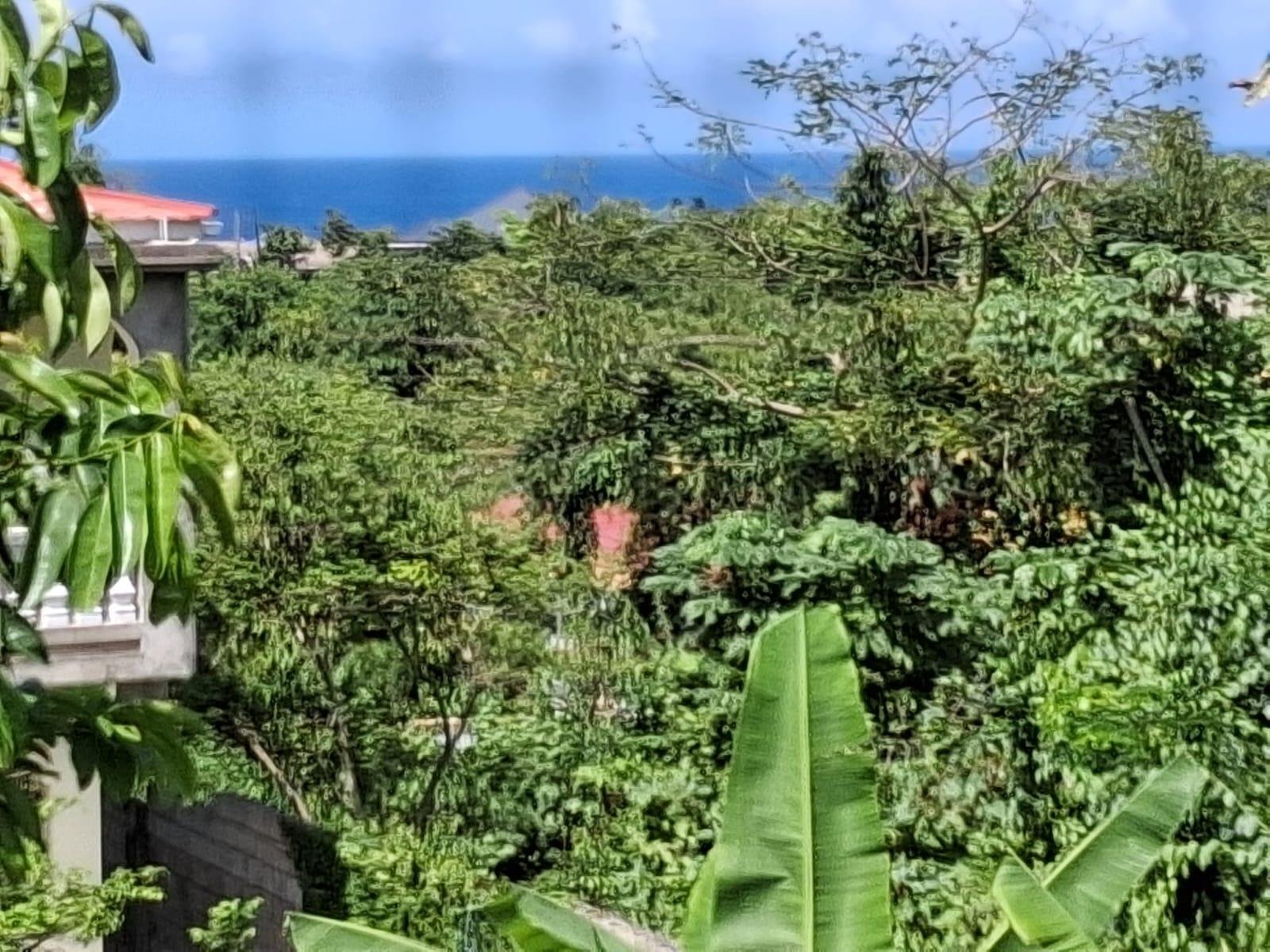 Fourth image of 19 Pines Close, St. Mary in Tower Isle, St. Mary, Jamaica - property is For Sale