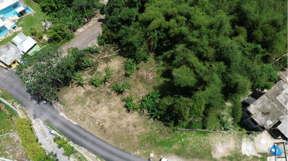 First image of Bloomfield in Mandeville, Manchester, Jamaica - property is For Sale