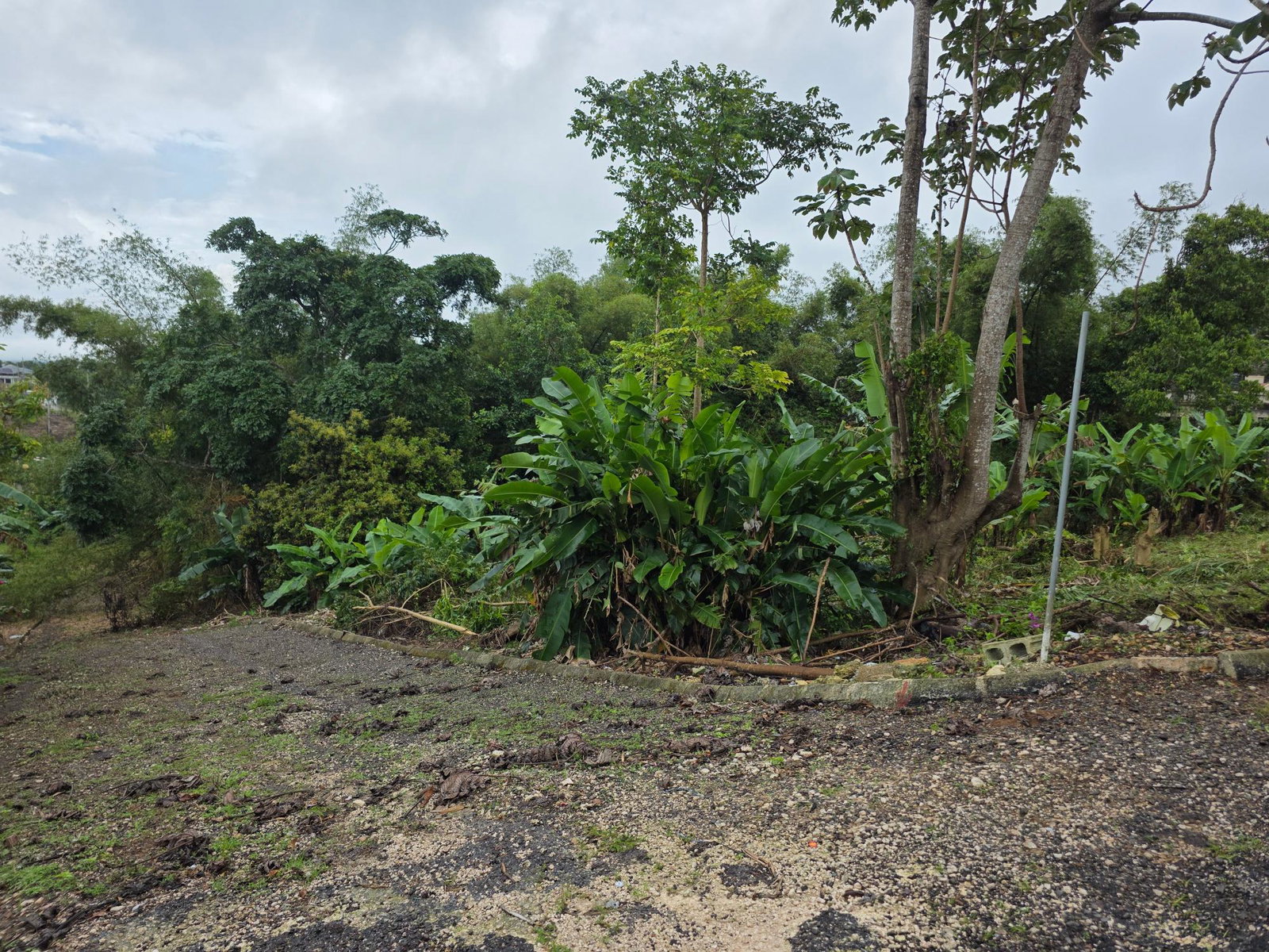 Tenth image of Bloomfield in Mandeville, Manchester, Jamaica - property is For Sale