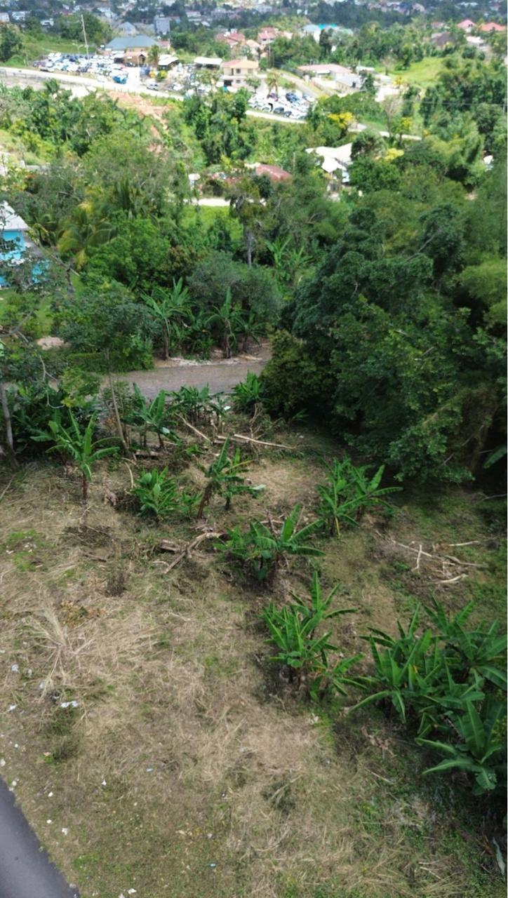 Second image of Bloomfield in Mandeville, Manchester, Jamaica - property is For Sale