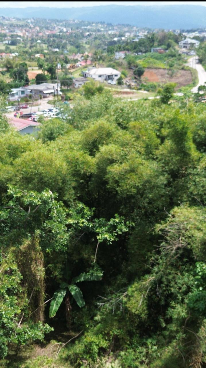 Fourth image of Bloomfield in Mandeville, Manchester, Jamaica - property is For Sale