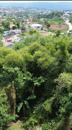 Fourth image of Bloomfield in Mandeville, Manchester, Jamaica - property is For Sale